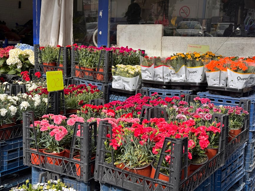 Outdoor display of potted flowering plants at a flower shop, featuring vibrant pink, red, white, yellow, and orange blooms arranged in black plastic crates and trays. The plants are wrapped in white p