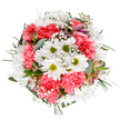 This radiant bouquet from Upper Clapton celebrates the renewing energy of spring with a harmonious blend of colour, fragrance, and texture. At its heart, bright white daisies with lively green centers mingle easily among blooming clusters of coral-pink carnations, each petal adding a soft, ruffled exuberance. Wisps of airy gypsophila are interspersed throughout, their feather-light blooms reminiscent of morning mist drifting over Springfield Park. Subtle hints of blush and purple appear in the closed buds of alstroemeria, their presence promising future blossoms and adding layers of interest to the bouquet's joyful palette. Eucalyptus leaves in soft silver and glossy dark green foliage peek between the flowers, supporting the arrangement and infusing a gentle, fresh scent that recalls walks along Upper Clapton's bustling streets and hidden gardens. The bouquet's balanced, round shape conveys both tranquillity and lively celebration, perfectly crafted to brighten a birthday, offer heartfelt congratulations, or add a sense of hope and joy to any space. Each element-colour, texture, fragrance-reflects the dedication and flair of a local florist committed to capturing the happiest moments in bloom, ready for same-day delivery across Upper Clapton and the neighbouring Hackney community.